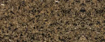 Tropical Brown